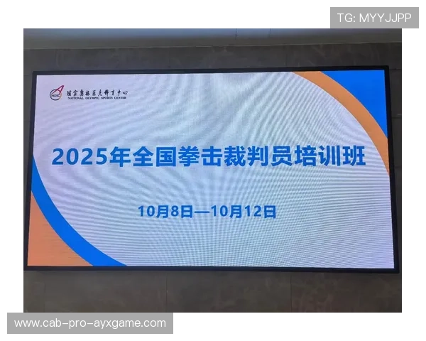 国际拳击职业赛裁判轮值制度与透明化措施,拳击裁判规则 国际拳击职业赛裁判轮值制度与透明化措施,拳击裁判规则