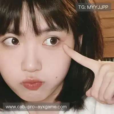 明贞梦