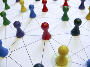 爱游戏体育娱乐-中国篮球青训教练员能力提升路径，篮球青训师的待遇怎么样